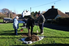 ruckinge-future-heritage-tree-004