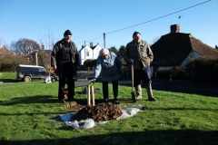 ruckinge-future-heritage-tree-005