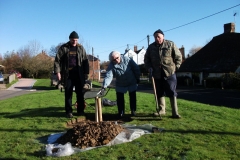 ruckinge-future-heritage-tree-006