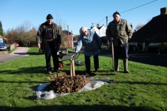 ruckinge-future-heritage-tree-007