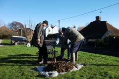 ruckinge-future-heritage-tree-008