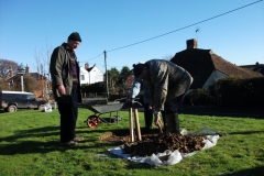 ruckinge-future-heritage-tree-009