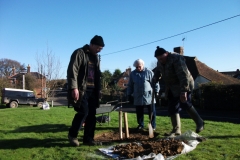 ruckinge-future-heritage-tree-010