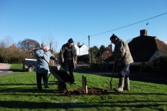 ruckinge-future-heritage-tree-011
