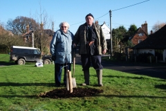 ruckinge-future-heritage-tree-013
