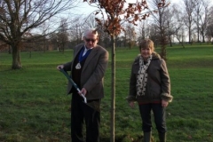 swanley-park-future-heritage-tree-002