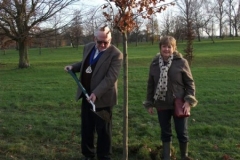 swanley-park-future-heritage-tree-003