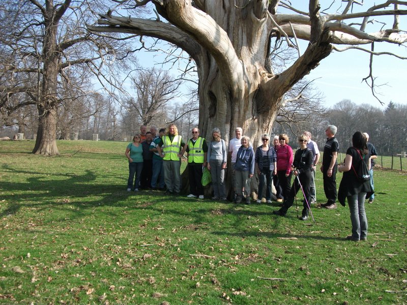 heritage-tree-surveyors-workshop-march-2012-001