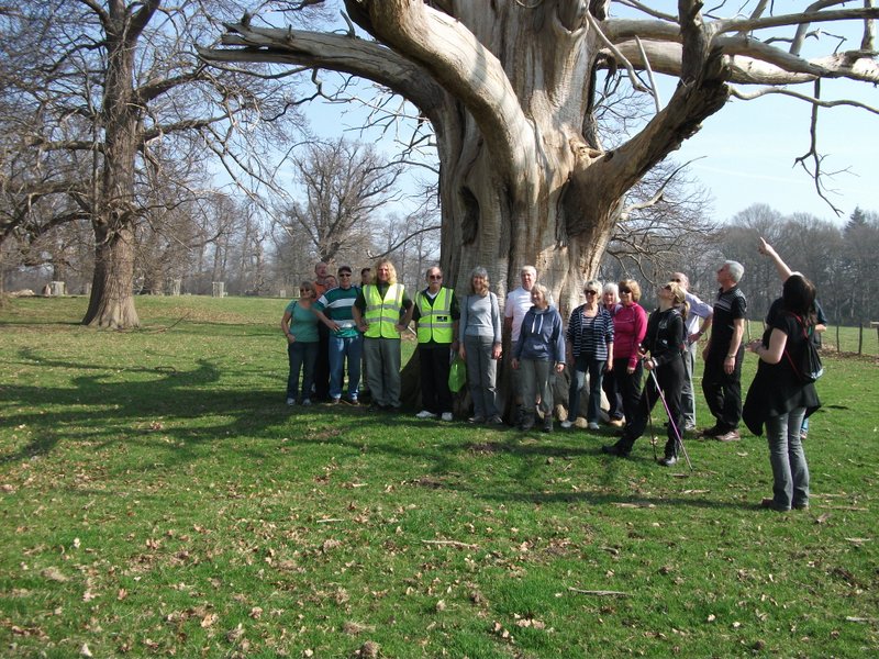 heritage-tree-surveyors-workshop-march-2012-002