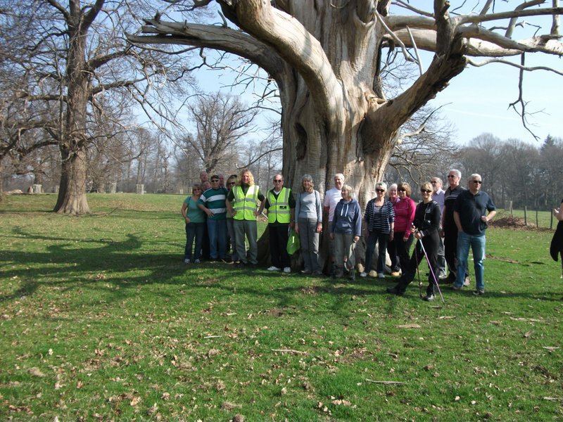 heritage-tree-surveyors-workshop-march-2012-003