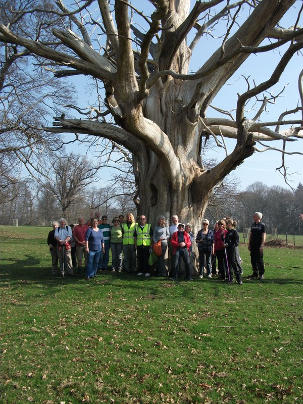 heritage-tree-surveyors-workshop-march-2012-004