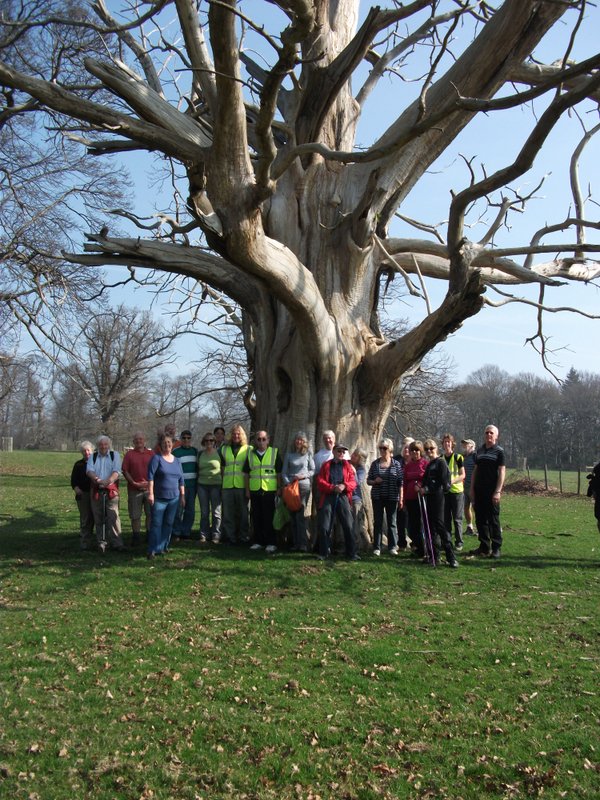 heritage-tree-surveyors-workshop-march-2012-005