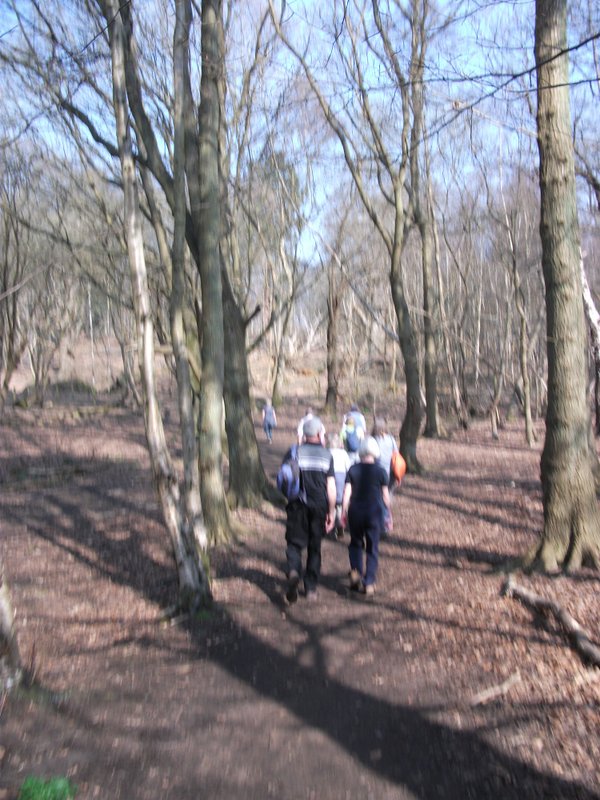 heritage-tree-surveyors-workshop-march-2012-006