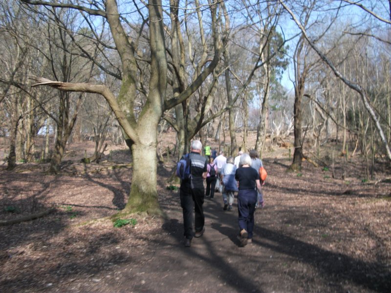 heritage-tree-surveyors-workshop-march-2012-007