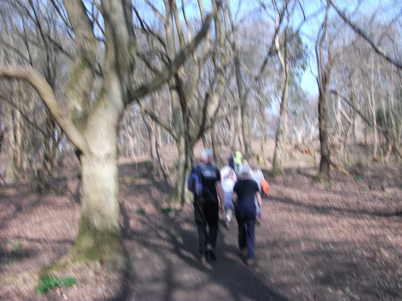 heritage-tree-surveyors-workshop-march-2012-008