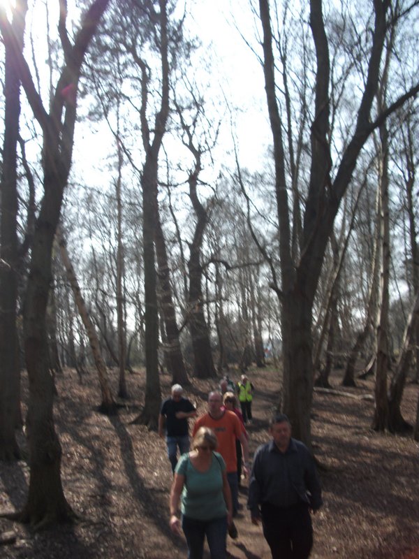 heritage-tree-surveyors-workshop-march-2012-009
