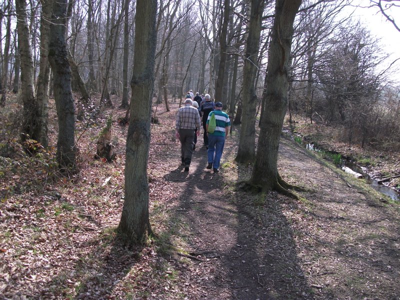 heritage-tree-surveyors-workshop-march-2012-010