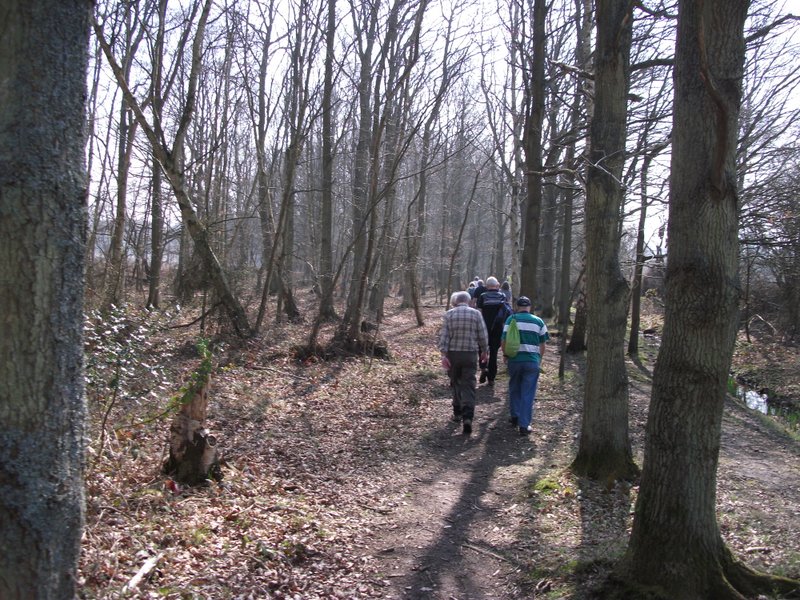 heritage-tree-surveyors-workshop-march-2012-011