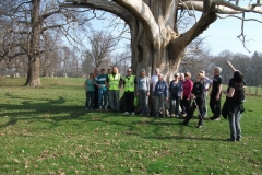 heritage-tree-surveyors-workshop-march-2012-002
