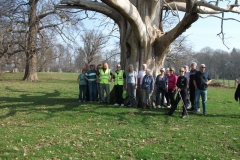 heritage-tree-surveyors-workshop-march-2012-003