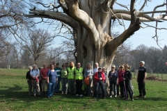heritage-tree-surveyors-workshop-march-2012-004