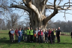 heritage-tree-surveyors-workshop-march-2012-005