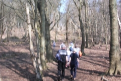 heritage-tree-surveyors-workshop-march-2012-006