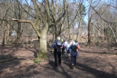 heritage-tree-surveyors-workshop-march-2012-007