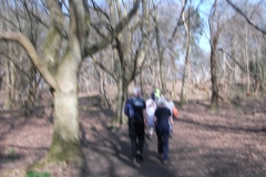 heritage-tree-surveyors-workshop-march-2012-008