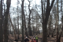 heritage-tree-surveyors-workshop-march-2012-009