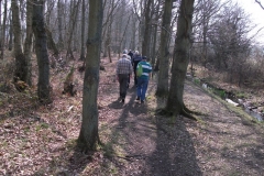 heritage-tree-surveyors-workshop-march-2012-010