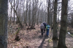 heritage-tree-surveyors-workshop-march-2012-011