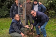 halling-tree-plant-2015