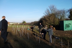 swanley-park-community-hedge-planting-003
