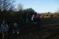 swanley-park-community-hedge-planting-004