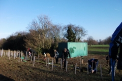 swanley-park-community-hedge-planting-005