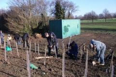swanley-park-community-hedge-planting-008