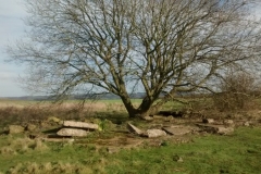 willow-airfield-and-concrete