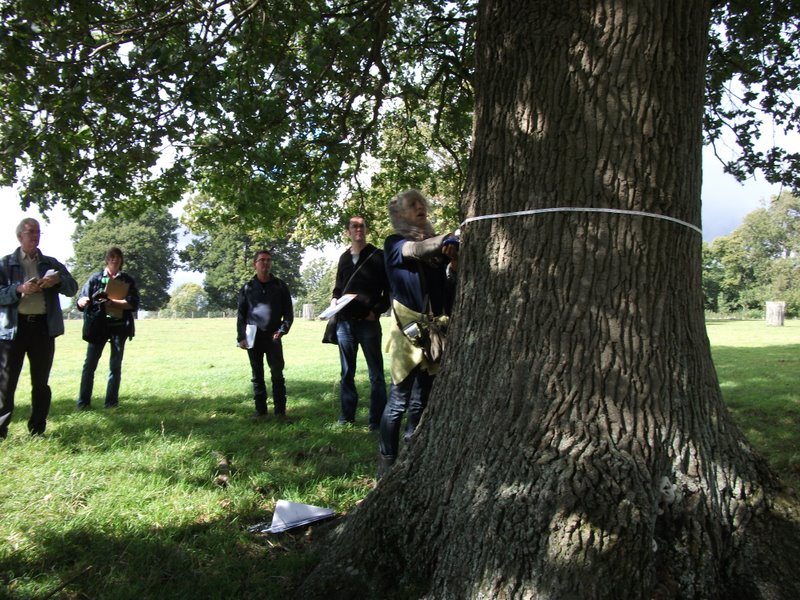 heritage-tree-surveyors-course-sept-2011-004