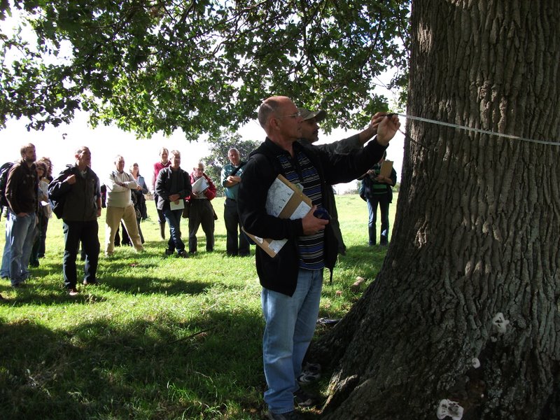 heritage-tree-surveyors-course-sept-2011-005