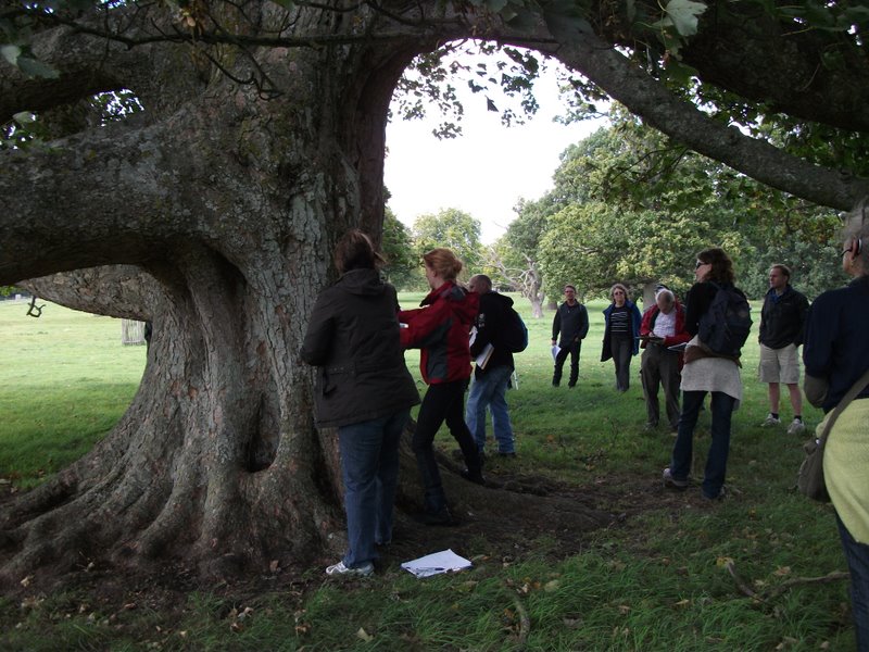 heritage-tree-surveyors-course-sept-2011-013