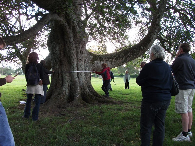 heritage-tree-surveyors-course-sept-2011-014