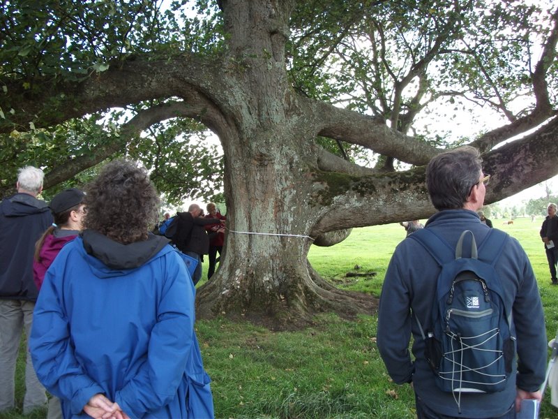 heritage-tree-surveyors-course-sept-2011-015