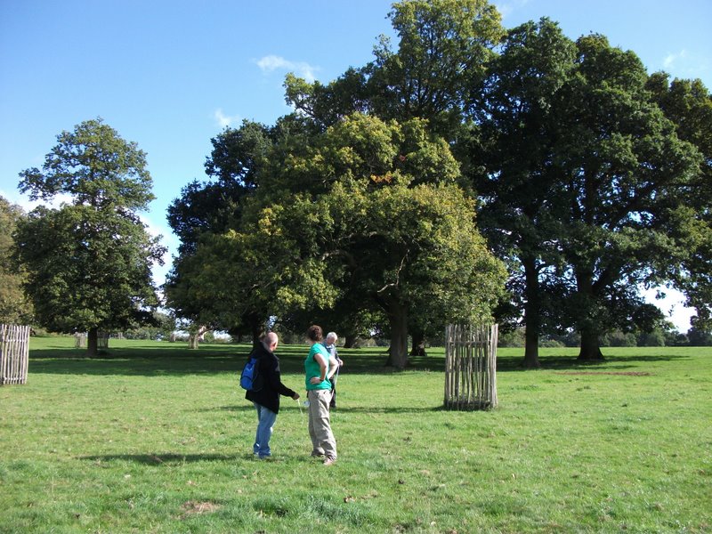 heritage-tree-surveyors-course-sept-2011-035