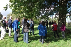 heritage-tree-surveyors-course-sept-2011-002