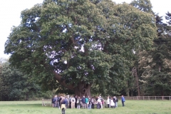heritage-tree-surveyors-course-sept-2011-006