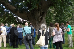 heritage-tree-surveyors-course-sept-2011-007