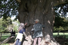 heritage-tree-surveyors-course-sept-2011-008