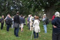 heritage-tree-surveyors-course-sept-2011-011