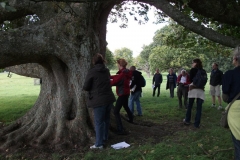 heritage-tree-surveyors-course-sept-2011-013